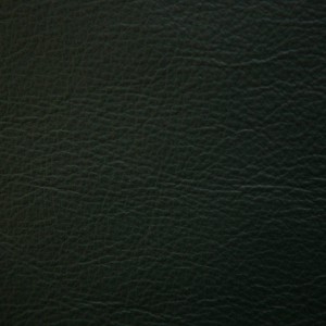 Premiere Forest | Leather Supplier | Danfield Inc. Leather