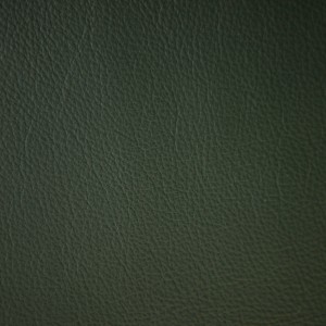 Premiere Spruce | Leather Supplier | Danfield Inc. Leather
