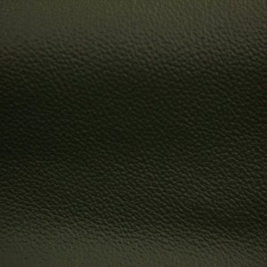 Discovery II Emerald | Aircraft Upholstery Leather