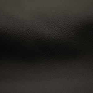 Meridian Ebony | Automotive Leather Supplier | Danfield Inc.