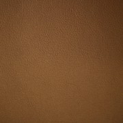 Moondust Gold | Pearlized Leather | Danfield Inc., Leather