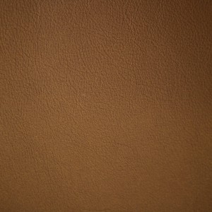 Moondust Gold | Pearlized Leather | Danfield Inc., Leather