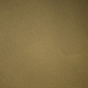 Moondust Moss | Pearlized Leather | Danfield Inc., Leather