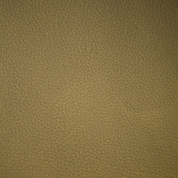 Moondust Moss | Pearlized Leather | Danfield Inc., Leather