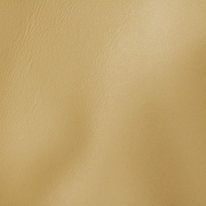 Nuance Tan | Automotive Leather | Danfield Inc., Leather