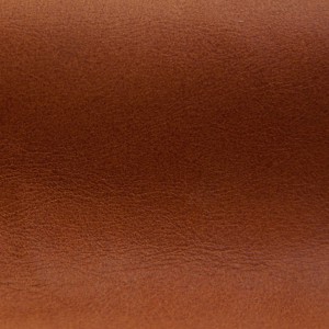 Pampa Turmeric | Vegetable Tanned Leather | Danfield Inc.