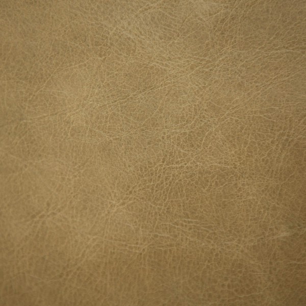 Rage Kiwi | Vegetable Tanned Leather | Danfield Inc.