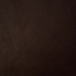 Rage Tigerwood | Vegetable-Tanned Leather | Danfield Inc.