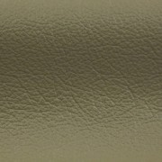 Signature Eucalyptus | Leather Hides | Danfield Inc., Leather
