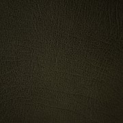 Western Green Moss | Leather Supplier | Danfield Inc., Leather