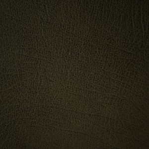 Western Green Moss | Leather Supplier | Danfield Inc., Leather
