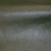 GTO Dark Green | Automotive Upholstery Leather | Danfield Inc.