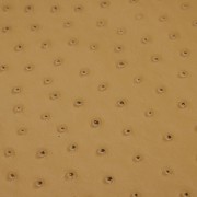 Ostrich Camel | Exotic Automotive Upholstery Leather
