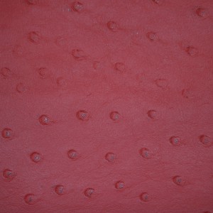 Ostrich Cherry | Exotic Automotive Upholstery Leather