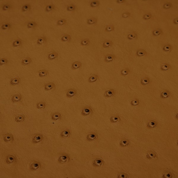 Ostrich Gold | Exotic Automotive Upholstery Leather