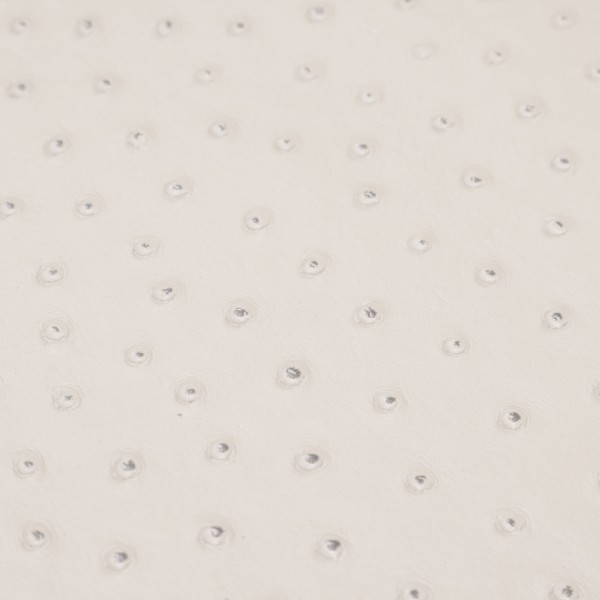 Ostrich Optical White | Exotic Automotive Upholstery Leather