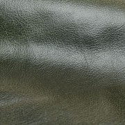 Phoenix Forest | Distressed Leather | Danfield Inc., Leather