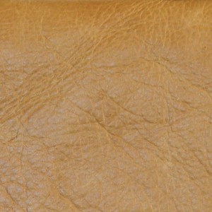 Sunset Gold | aniline Leather | Danfield Inc.